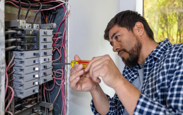Best 24-Hour Electrician  in Alton, TX